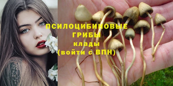 ALPHA PVP Вязники